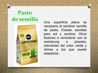 Una superficie plana es
necesaria al sembrar semilla
de pasto. Existen semillas
para sol y sombra. Otros
factores a considerar son la
resistencia a pisadas,
intensidad del color verde y
climas a los que puede
adaptarse.
Pasto
de semilla
 