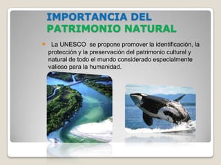 IMPORTANCIA DEL
 PATRIMONIO NATURAL
 La UNESCO se propone promover la identificación, la
  protección y la preservación del patrimonio cultural y
  natural de todo el mundo considerado especialmente
  valioso para la humanidad.
 