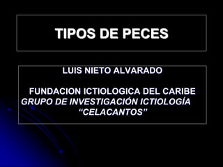 TIPOS DE PECES
LUIS NIETO ALVARADO
FUNDACION ICTIOLOGICA DEL CARIBE
GRUPO DE INVESTIGACIÓN ICTIOLOGÍA
“CELACANTOS”
 