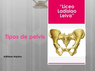 Tipos de pelvis
Adriana Aquino
“Liceo
Ladislao
Leiva”
 