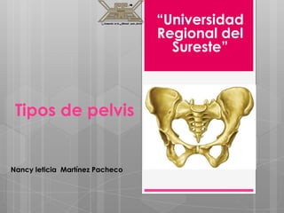 “Universidad
                                 Regional del
                                   Sureste”



 Tipos de pelvis


Nancy leticia Martínez Pacheco
 