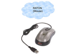 RATON
(Mouse)
 