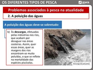 OS DIFERENTES TIPOS DE PESCA
2. A poluição das águas
Problemas associados à pesca na atualidade
A poluição das águas deve-se sobretudo:
b) Às descargas, efetuadas
pelas indústrias nos rios,
que acabam por
desaguar nas áreas
costeiras. Assim, quer
essas áreas, quer as
margens dos rios
encontram-se muito
poluídas, o que se reflete
na mortalidade das
espécies piscícolas. Descarga de poluentes
 