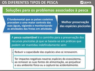 OS DIFERENTES TIPOS DE PESCA
Melhor preservação
das espécies piscícolas
Soluções para os problemas associados à pesca
A pesca sustentável é o caminho para a preservação dos
recursos piscícolas já que se baseia-se em práticas que
podem ser mantidas indefinidamente sem:
Reduzir a capacidade das espécies alvo se renovarem.
Ter impactos negativos noutras espécies do ecossistema,
ao remover as suas fontes de alimentação, ao prejudicar
o seu ambiente físico ou a capturá-las acidentalmente.
É fundamental que os países costeiros
procedam a uma maior controlo das
suas águas, vigiando e monitorizando
as atividades das frotas em atividade.
 