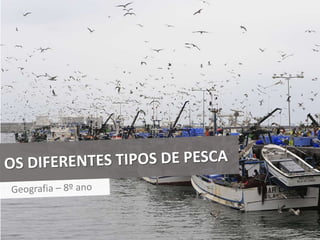 Tipos de Pesca
