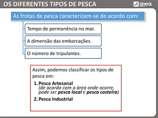 OS DIFERENTES TIPOS DE PESCA
As frotas de pesca caracterizam-se de acordo com:
A dimensão das embarcações.
Tempo de permanência no mar.
O número de tripulantes.
Assim, podemos classificar os tipos de
pesca em:
1.Pesca Artesanal
(de acordo com a área onde ocorre,
pode ser pesca local e pesca costeira)
2.Pesca Industrial
 