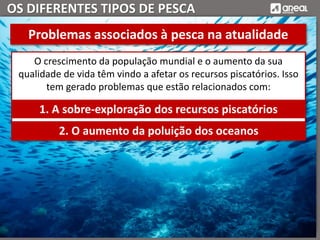 OS DIFERENTES TIPOS DE PESCA
O crescimento da população mundial e o aumento da sua
qualidade de vida têm vindo a afetar os recursos piscatórios. Isso
tem gerado problemas que estão relacionados com:
Problemas associados à pesca na atualidade
1. A sobre-exploração dos recursos piscatórios
2. O aumento da poluição dos oceanos
 