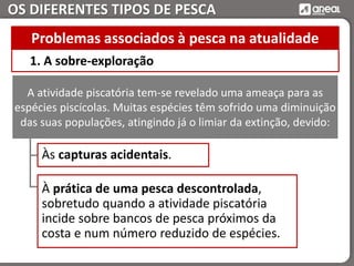 OS DIFERENTES TIPOS DE PESCA
Às capturas acidentais.
1. A sobre-exploração
Problemas associados à pesca na atualidade
A atividade piscatória tem-se revelado uma ameaça para as
espécies piscícolas. Muitas espécies têm sofrido uma diminuição
das suas populações, atingindo já o limiar da extinção, devido:
À prática de uma pesca descontrolada,
sobretudo quando a atividade piscatória
incide sobre bancos de pesca próximos da
costa e num número reduzido de espécies.
 