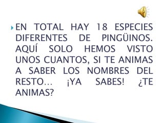  EN TOTAL HAY 18 ESPECIES
 DIFERENTES DE PINGÜINOS.
 AQUÍ SOLO HEMOS VISTO
 UNOS CUANTOS, SI TE ANIMAS
 A SABER LOS NOMBRES DEL
 RESTO…    ¡YA SABES!    ¿TE
 ANIMAS?
 