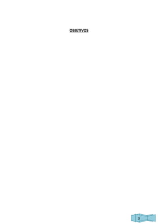 3 
OBJETIVOS 
 