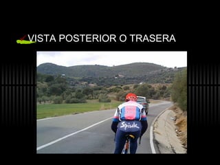 VISTA POSTERIOR O TRASERA 