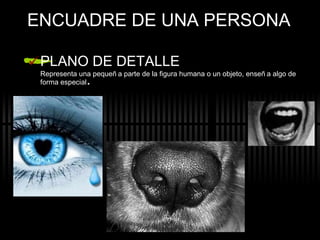 ENCUADRE DE UNA PERSONA PLANO DE DETALLE Representa una pequeña parte de la figura humana o un objeto, enseña algo de forma especial . 