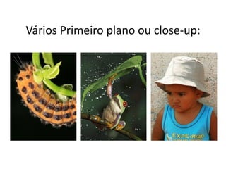Vários Primeiro plano ou close-up:
 