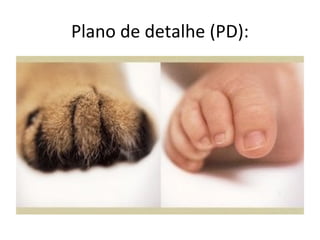 Plano de detalhe (PD):
 