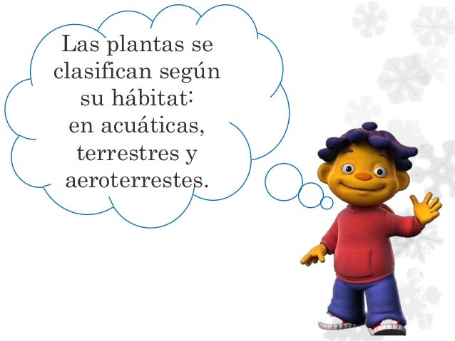 Tipos De Plantas