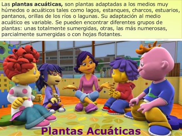 Tipos De Plantas