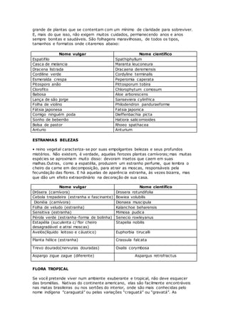 grande de plantas que se contentam com um mínimo de claridade para sobreviver.
E, mais do que isso, não exigem muitos cuidados, permanecendo anos e anos
sempre bonitas e saudáveis. São folhagens maravilhosas, de todos os tipos,
tamanhos e formatos onde citaremos abaixo:
Nome vulgar Nome científico
Espatifilo Spathiphyllum
Casca de melancia Maranta leuconeura
Dracena listrada Dracaena deremensis
Cordiline verde Cordyline terminalis
Esmeralda crespa Peperomia caperata
Pitosporo anão Pittosporum tobira
Clorofito Chlorophytum comosum
Babosa Aloe arborescens
Lança de são jorge Sanseviera cylinfrica
Folha de violino Philodendron panduraeforme
Fátsia japonesa Fatsia japonica
Comigo ninguém poda Dieffenbachia picta
Sonho de beberrão Hatiora salicornioides
Bolsa de pastor Rhoeo spathacea
Anturio Anturium
ESTRANHAS BELEZAS
• reino vegetal caracteriza-se por suas empolgantes belezas e seus profundos
mistérios. Não existem, é verdade, aquelas ferozes plantas carnívoras;mas muitas
espécies se aproximam muito disso: devoram insetos que caem em suas
malhas.Outras, como a espatélia, produzem um estranho perfume, que lembra o
cheiro da carne em decomposição, para atrair as moscas, responsáveis pela
fecundação das flores. E há aquelas de aparência estranha, às vezes bizarra, mas
que dão um efeito extraordinário na decoração de sua casa.
Nome vulgar Nome científico
Drósera (carnívora) Drosera rotundifolia
Cebola trepadeira (estranha e fascinante) Bowiea volubilis
Dionéia (carnívora) Dionaea muscipula
Folha de veludo (estranha) Kalanchoe beharensis
Sensitiva (estranha) Mimosa pudica
Pérola verde (estranha-forma de bolinha) Senecio rowleyanus
Estapélia (suculenta c/ flor cheiro
desagradável e atrai moscas)
Stapelia nobilis
Avelós(líquido leitoso e cáustico) Euphorbia tirucalli
Planta hélice (estranha) Crassula falcata
Trevo dourado(nervuras douradas) Oxalis corymbosa
Aspargo zigue zague (diferente) Aspargus retrofractus
FLORA TROPICAL
Se você pretende viver num ambiente exuberante e tropical, não deve esquecer
das bromélias. Nativas do continente americano, elas são facilmente encontráveis
nas matas brasileiras ou nos sertões do interior, onde são mais conhecidas pelo
nome indígena ”caraguatá” ou pelas variações “craguatá” ou “gravatá”. As
 