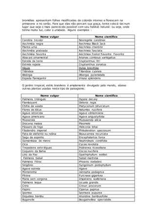 bromélias apresentam folhas modificadas de colorido intenso e florescem na
primavera e no verão. Para que elas não percam sua graça, tente colocá-las num
lugar que seja o mais parececido possível com seu habitat natural: ou seja, onde
tenha muita luz, calor e umidade. Alguns exemplos :
Nome vulgar Nome científico
Carolina tricolor Neoregelia carolinae
Aechméia negra Aechmea Black Jack
Planta urna Aechmea chantinii
Aechméia prateada Aechmea fasciata
Aechméia favorita Aechmea Foster Favorite Favorite
Abacaxi ornamental Ananas comosus variegatus
Estrela da terra Cryptanthus !It!
Estrela rajada Cryptanthus zonatus
Díquia Dykia brevifolia
Tilândsia Tillandsia cyanea
Bibérgia Illbergia pyramidalis
Espada flamejante Vrisea splendens
O jardim tropical, estilo brasileiro é amplamente divulgado pelo mundo, abaixo
outras plantas usadas neste tipo de paisagismo.
Nome vulgar Nome científico
Palmeira triângulo Dypsis decary
Flamboyant Delonix regia
Chifre de veado Platycerium bifurcatum
Flores de lótus Nelumbo nucifera
Agave retorcida Agave vilmoriniana
Agave americano Agave angustyifolia
Mussenda Mussaenda alícia
Dracena malaia Pleomele
Pássaro de fogo Heliconia bihai
Filodendro imperial Philodendron speciosum
Pata de elefante ou nolina Beaucarnea recurvata
Sagu de espinho Encephalartos ferox
Samambaia de metro Nephrolepis cordifolia
Cica Cycas revoluta
Trepadeira sete léguas Podranea ricasoliana
Coqueiro da Bahia Cocos nucifera
Lírio da Paz Spathiphyllum wallisii
Palmeira Sabal Sabal marítima
Palmeira Fênix Phoenix roebelinii
Singônio Syngonium podophyllum
Agave estrela Agave
Momoninha Jatropha podagrica
Piteira Furcraea gigantea
Maria sem vergona Impatiens walleriana
Palmeira leque Licuala grandis
Crino Crinun procerum
Papiro Ciperus papirus
Ipomea Ipomoea pupurea
Orquidea bambu Arundina bambusifolia
Buganvile Bougainvillea spectabilis
 