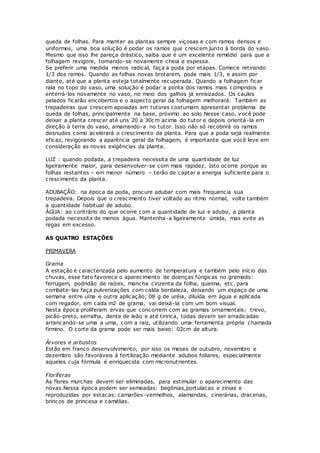 queda de folhas. Para manter as plantas sempre viçosas e com ramos densos e
uniformes, uma boa solução é podar os ramos que crescem junto à borda do vaso.
Mesmo que isso lhe pareça drástico, saiba que é um excelente remédio para que a
folhagem revigore, tornando-se novamente cheia e espessa.
Se preferir uma medida menos radical, faça a poda por etapas. Comece retirando
1/3 dos ramos. Quando as folhas novas brotarem, pode mais 1/3, e assim por
diante, até que a planta esteja totalmente recuperada. Quando a folhagem ficar
rala no topo do vaso, uma solução é podar a ponta dos ramos mais compridos e
enterrá-los novamente no vaso, no meio dos galhos já enraizados. Os caules
pelados ficarão encobertos e o aspecto geral da folhagem melhorará. Também as
trepadeiras que crescem apoiadas em tutores costumam apresentar problema de
queda de folhas, principalmente na base, próximo ao solo.Nesse caso, você pode
deixar a planta crescer até uns 20 a 30cm acima do tutor e depois orientá-la em
direção à terra do vaso, amarrando-a no tutor. Isso não só recobrirá os ramos
desnudos como acelerará o crescimento da planta. Para que a poda seja realmente
eficaz, revigorando a aparência geral da folhagem, é importante que você leve em
consideração as novas exigências da planta.
LUZ : quando podada, a trepadeira necessita de uma quantidade de luz
ligeiramente maior, para desenvolver-se com mais rapidez. Isto ocorre porque as
folhas restantes – em menor número – terão de captar a energia suficiente para o
crescimento da planta.
ADUBAÇÃO: na época da poda, procure adubar com mais frequencia sua
trepadeira. Depois que o crescimento tiver voltado ao ritmo normal, volte também
a quantidade habitual de adubo.
ÁGUA: ao contrário do que ocorre com a quantidade de luz e adubo, a planta
podada necessita de menos água. Mantenha-a ligeiramente úmida, mas evite as
regas em excesso.
AS QUATRO ESTAÇÕES
PRIMAVERA
Grama
A estação é caracterizada pelo aumento de temperatura e também pelo início das
chuvas, esse fato favorece o aparecimento de doenças fúngicas no gramado:
ferrugem, podridão de raízes, mancha cinzenta da folha, queima, etc. para
combate-las faça pulverizações com calda bordaleza, deixando um espaço de uma
semana entre uma e outra aplicação; 08 g de uréia, diluída em água e aplicada
com regador, em cada m2 de grama, vai deixá-la com um bom visual.
Nesta época proliferam ervas que concorrem com as gramas ornamentais: trevo,
picão-preto, serralha, dente de leão e até tiririca, todas devem ser erradicadas
arrancando-se uma a uma, com a raiz, utilizando uma ferramenta própria chamada
firmino. O corte da grama pode ser mais baixo: 02cm de altura.
Árvores e arbustos
Estão em franco desenvolvimento, por isso os meses de outubro, novembro e
dezembro são favoráveis á fertilização mediante adubos foliares, especialmente
aqueles cuja fórmula é enriquecida com micronutrientes.
Floríferas
As flores murchas devem ser eliminadas, para estimular o aparecimento das
novas.Nessa época podem ser semeadas: begônias,portulacas e zínias e
reproduzidas por estacas: camarões-vermelhos, alamandas, cinerárias, dracenas,
brincos de princesa e camélias.
 
