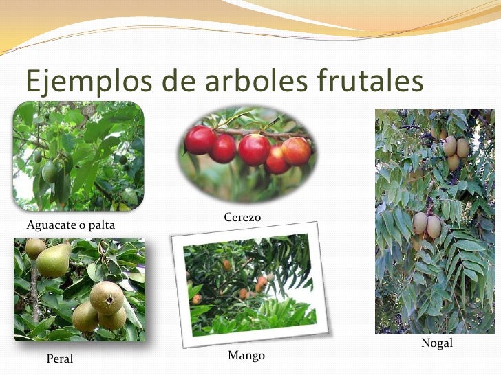 Nombres De Animales Con J En Espaol Y En Ingls Nombres De Animales Con J En Espaol Y En Ingls