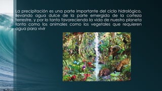 La precipitación es una parte importante del ciclo hidrológico,
llevando agua dulce de la parte emergida de la corteza
terrestre, y por lo tanto favoreciendo la vida de nuestro planeta
tanto como los animales como los vegetales que requieren
agua para vivir
 