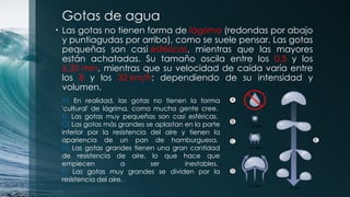 Gotas de agua
• Las gotas no tienen forma de lágrima (redondas por abajo
y puntiagudas por arriba), como se suele pensar. Las gotas
pequeñas son casi esféricas, mientras que las mayores
están achatadas. Su tamaño oscila entre los 0,5 y los
6,35 mm, mientras que su velocidad de caída varía entre
los 8 y los 32 km/h; dependiendo de su intensidad y
volumen.
A) En realidad, las gotas no tienen la forma
'cultural' de lágrima, como mucha gente cree.
B) Las gotas muy pequeñas son casi esféricas.
C) Las gotas más grandes se aplastan en la parte
inferior por la resistencia del aire y tienen la
apariencia de un pan de hamburguesa.
D) Las gotas grandes tienen una gran cantidad
de resistencia de aire, lo que hace que
empiecen a ser inestables.
E) Las gotas muy grandes se dividen por la
resistencia del aire.
 