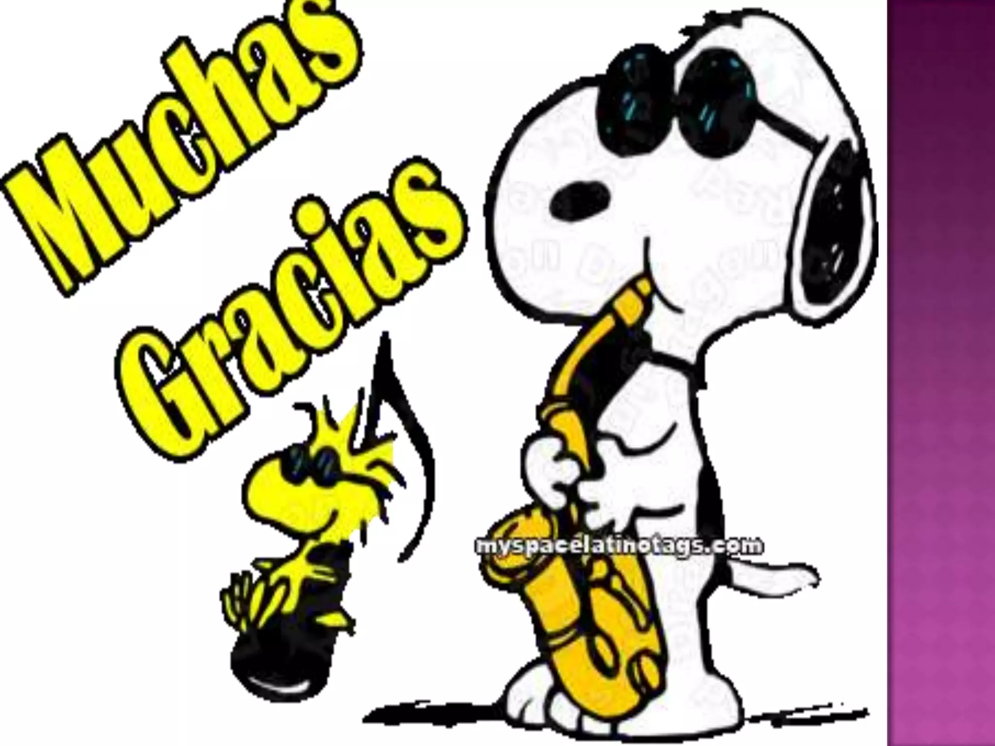 Tipos de preguntas icfes