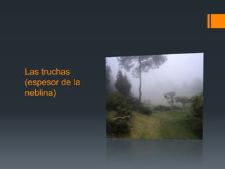 Las truchas
(espesor de la
neblina)
 
