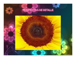 PERSPECTIVA DE DETALLE
 