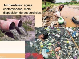 Ambientales: aguas contaminadas, mala disposición de desperdicios.