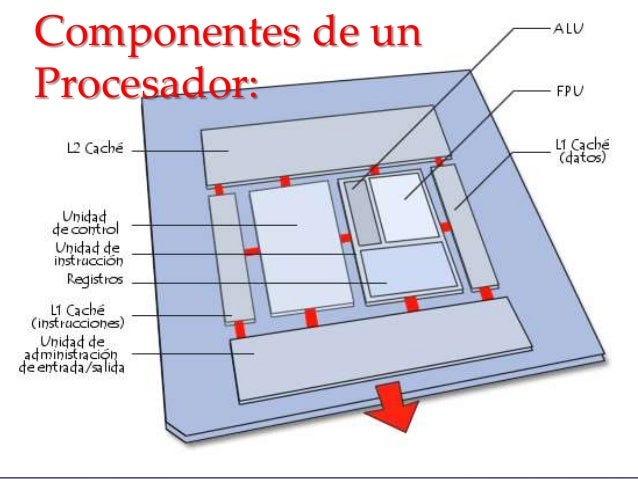 Resultado de imagen para TIPOS DE PROCESADORES
