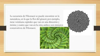 La secuencia de Fibonacci se puede encontrar en la
naturaleza, en la que la flor del girasol, por ejemplo,
tiene veintiuna espirales que van en una dirección y
treinta y cuatro que van en la otra; ambos son números
consecutivos de Fibonacci.
 