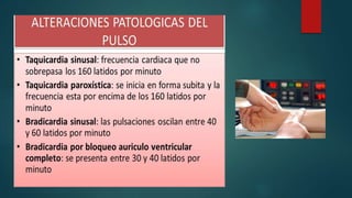 Tipos de pulsos