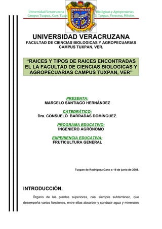 Universidad Veracruzana – Facultad de Ciencias Biológicas y Agropecuarias
  Campus Tuxpan., Carr. Tuxpan – Tampico Km. 7.5, Tuxpan, Veracruz, México.




      UNIVERSIDAD VERACRUZANA
 FACULTAD DE CIENCIAS BIOLOGICAS Y AGROPECUARIAS
               CAMPUS TUXPAN, VER.


 “RAICES Y TIPOS DE RAICES ENCONTRADAS
 EL LA FACULTAD DE CIENCIAS BIOLOGICAS Y
  AGROPECUARIAS CAMPUS TUXPAN, VER”




                      PRESENTA:
              MARCELO SANTIAGO HERNÁNDEZ

                    CATEDRÁTICO:
         Dra. CONSUELO BARRADAS DOMÍNGUEZ.

                      PROGRAMA EDUCATIVO:
                      INGENIERO AGRÓNOMO

                  EXPERIENCIA EDUCATIVA:
                  FRUTICULTURA GENERAL




                                  Tuxpan de Rodríguez Cano a 19 de junio de 2008.




INTRODUCCIÓN.
      Órgano de las plantas superiores, casi siempre subterráneo, que
desempeña varias funciones, entre ellas absorber y conducir agua y minerales
 