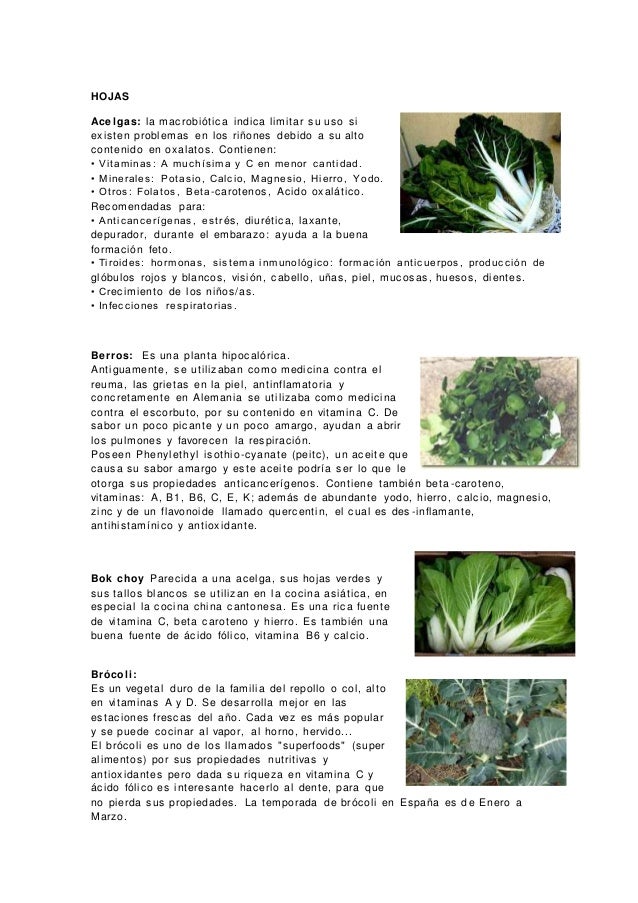 HOJAS
Acelgas: la macrobiótica indica limitar su uso si
existen problemas en los riñones debido a su alto
contenido en oxa...