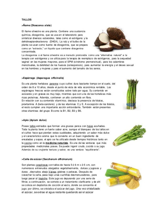 Tipos de raices, tallos y hojas alimenticias Tipos de raices, tallos y hojas alimenticias