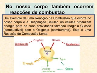 No nosso corpo também ocorrem
reacções de combustão
Um exemplo de uma Reacção de Combustão que ocorre no
nosso corpo é a Respiração Celular. As células produzem
energia para as suas actividades fazendo reagir a Glicose
(combustível) com o Oxigénio (comburente). Esta é uma
Reacção de Combustão Lenta.

 