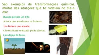 São exemplos de transformações químicas,
muitas das situações que te rodeiam no dia-a-
dia:
Quando grelhas um bife.
A fruta que amadurece na fruteira.
Um fósforo que acende.
A oxidação do ferro.
A fotossíntese realizada pelas plantas.
 