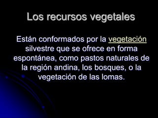 Los recursos vegetales Están conformados por la vegetación silvestre que se ofrece en forma espontánea, como pastos naturales de la región andina, los bosques, o la vegetación de las lomas. 