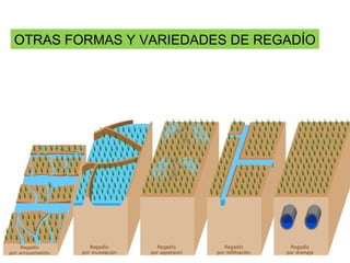 OTRAS FORMAS Y VARIEDADES DE REGADÍO