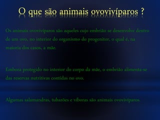 O que são animais ovovivíparos ?
Os animais ovovivíparos são aqueles cujo embrião se desenvolve dentro
de um ovo, no interior do organismo do progenitor, o qual é, na
maioria dos casos, a mãe.
Embora protegido no interior do corpo da mãe, o embrião alimenta-se
das reservas nutritivas contidas no ovo.
Algumas salamandras, tubarões e víboras são animais ovovivíparos.
 