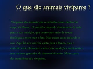 O que são animais vivíparos ?
*Vivíparos são animais que o embrião cresce dentro do
corpo da fêmea. O embrião depende diretamente da mãe
para a sua nutrição, que ocorre por meio de trocas
fisiológicas entre mãe e feto. Não existe casca isolando o
ovo. Aqui há um enorme custo para a fêmea, mas o
embrião está totalmente a salvo das condições ambientais e
tem maiores garantias de desenvolvimento. Maior parte
dos mamíferos são vivíparos.
 