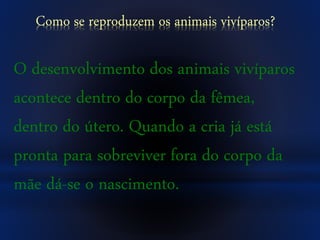 Como se reproduzem os animais vivíparos?
O desenvolvimento dos animais vivíparos
acontece dentro do corpo da fêmea,
dentro do útero. Quando a cria já está
pronta para sobreviver fora do corpo da
mãe dá-se o nascimento.
 
