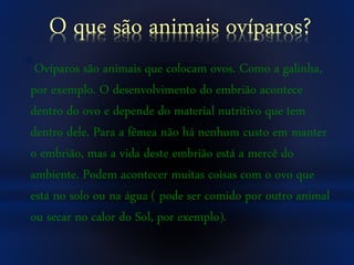 O que são animais ovíparos?
*Ovíparos são animais que colocam ovos. Como a galinha,
por exemplo. O desenvolvimento do embrião acontece
dentro do ovo e depende do material nutritivo que tem
dentro dele. Para a fêmea não há nenhum custo em manter
o embrião, mas a vida deste embrião está a mercê do
ambiente. Podem acontecer muitas coisas com o ovo que
está no solo ou na água ( pode ser comido por outro animal
ou secar no calor do Sol, por exemplo).
 