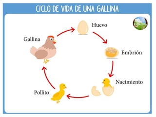 TIPOS DE REPRODUCCIÓN.pptx ..............