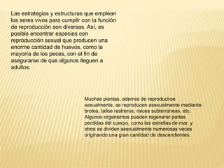 Las estrategias y estructuras que emplean
los seres vivos para cumplir con la función
de reproducción son diversas. Así, es
posible encontrar especies con
reproducción sexual que producen una
enorme cantidad de huevos, como la
mayoría de los peces, con el fin de
asegurarse de que algunos lleguen a
adultos.




                             Muchas plantas, además de reproducirse
                             sexualmente, se reproducen asexualmente mediante
                             brotes, tallos rastreros, raíces subterráneas, etc.
                             Algunos organismos pueden regenerar partes
                             perdidas del cuerpo, como las estrellas de mar, y
                             otros se dividen asexualmente numerosas veces
                             originando una gran cantidad de descendientes.
 