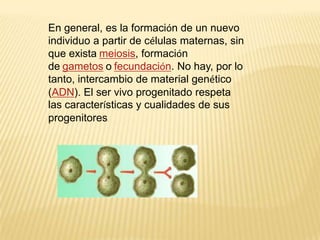 En general, es la formación de un nuevo
individuo a partir de células maternas, sin
que exista meiosis, formación
de gametos o fecundación. No hay, por lo
tanto, intercambio de material genético
(ADN). El ser vivo progenitado respeta
las características y cualidades de sus
progenitores .
 
