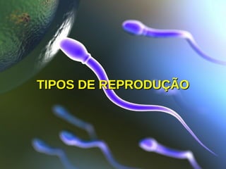 TIPOS DE REPRODUÇÃOTIPOS DE REPRODUÇÃO
 
