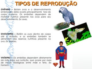 OVÍPARO – Botam ovos e o desenvolvimento
embrionário deles ocorre principalmente fora do
corpo materno. Os embriões dependem de
material nutritivo presente nos ovos para seu
desenvolvimento. Ex: aves.
OVOVÍAPRO – Retêm os ovos dentro do corpo
até a eclosão, e os embriões também se
alimentam das reservas nutritivas presente no
ovo. Ex: lebistes.
VIVÍAPRO – Os embriões dependem diretamente
da mãe para sua nutrição, que ocorre por meio
de trocas fisiológicas entre mãe e feto. Ex:
homem.
TIPOS DE REPRODUÇÃOTIPOS DE REPRODUÇÃO
 