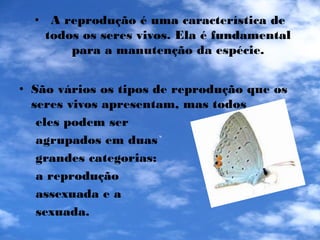 Tipos de Reprodução dos Seres Vivos - Biologia | PDF